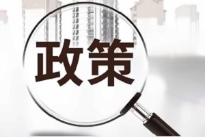 中育贝拉国际高中招生政策