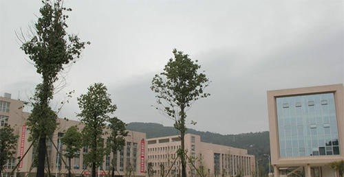 巴中职业技术学院网站