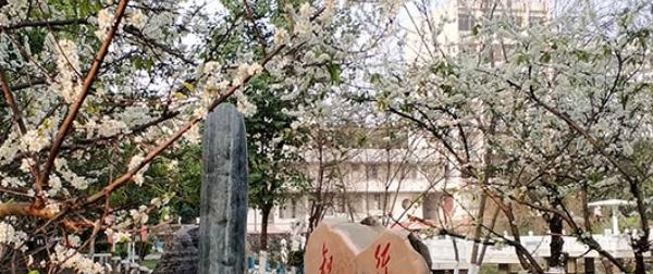 广西农业职业技术学院是几专