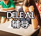 DELE A1辅导