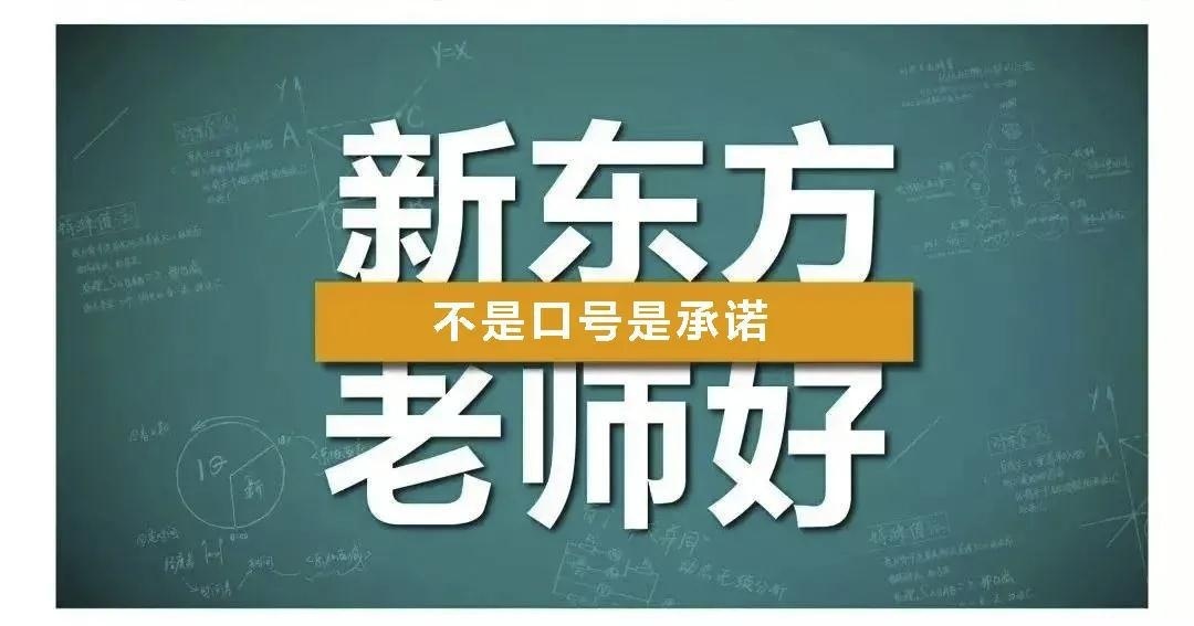 新东方国际双语学校