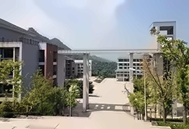 UPASS2+2国际本科学分豁免项目简章