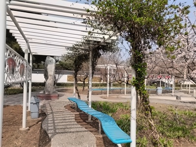 北大附屬實驗學校小花園