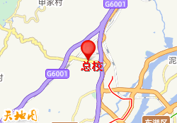 总校