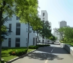 青岛大学校园小路