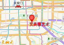 艾美雅艺术
