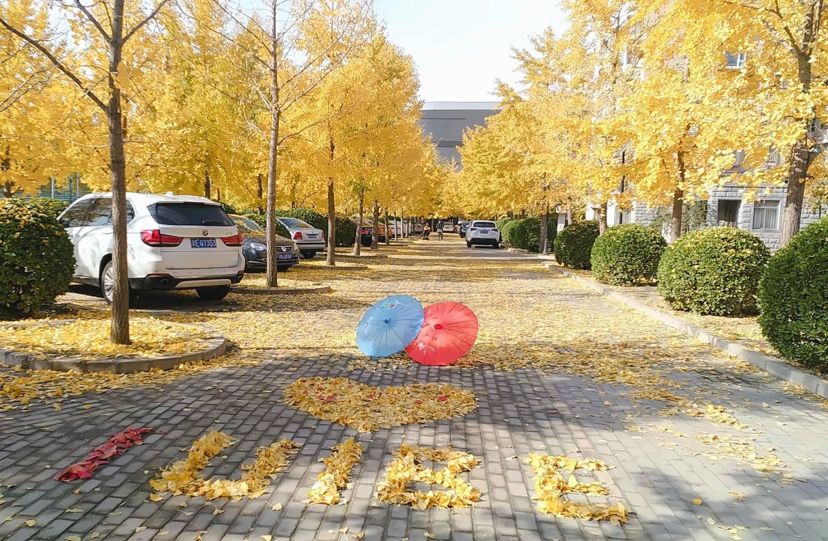 对外经济贸易大学