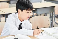 一对一测评学习效果