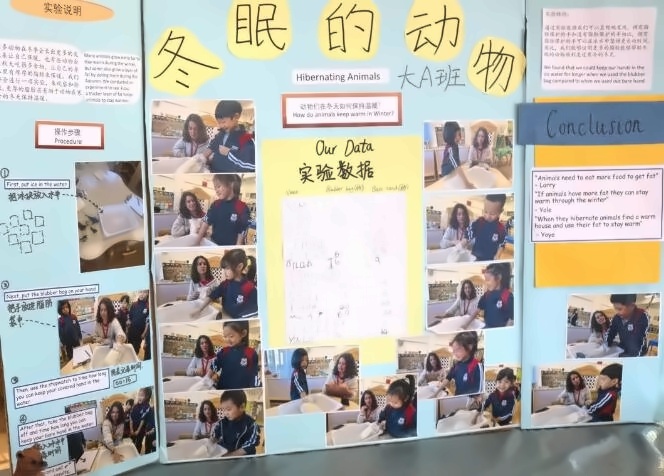 截图20231205144219.jpg