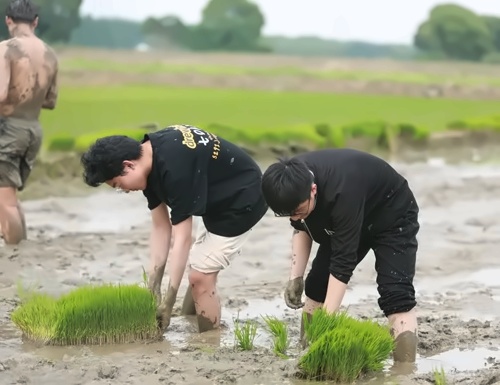 美华学校农场