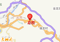 总校