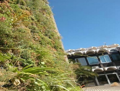 蒙波利埃国立高等建筑学院
