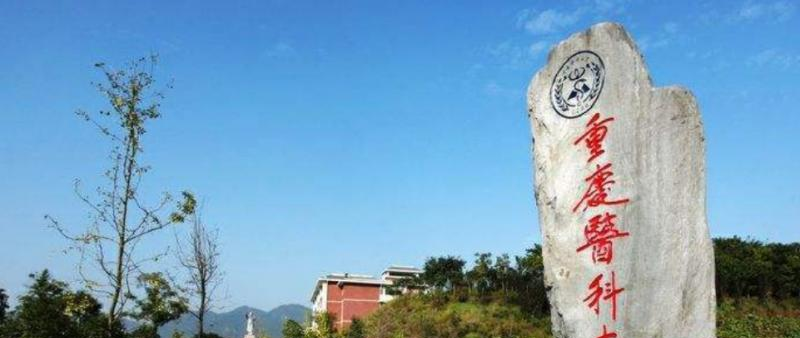 重庆医科大学排名全国第几位