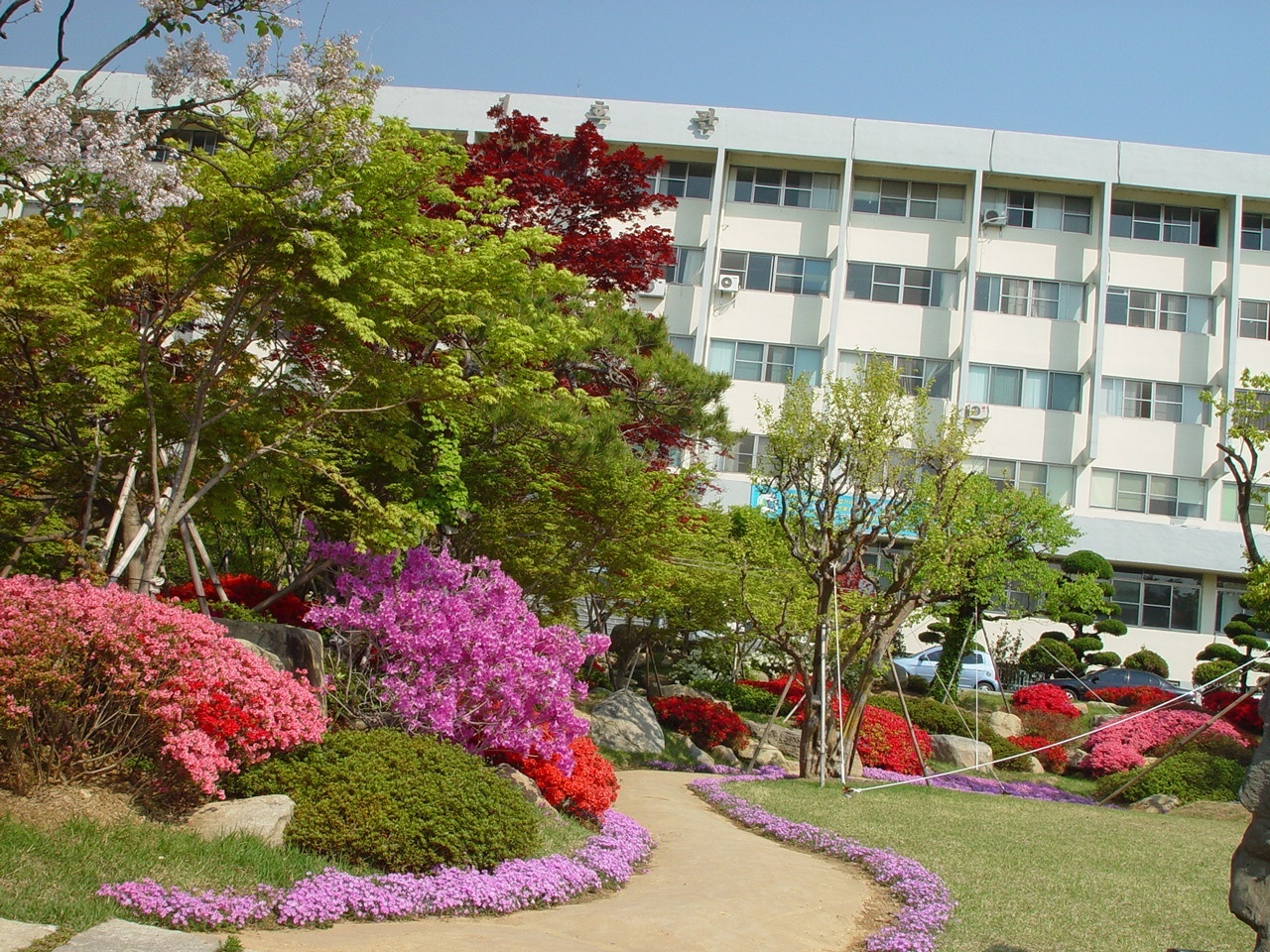 顺天大学