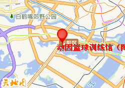 动因篮球训练馆（陶家岭店）