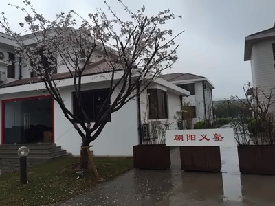 上海朝阳义塾日语特色学校樱花下的校牌