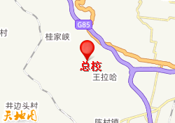 总校