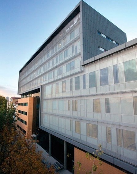 伦敦南岸大学