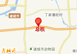 总校