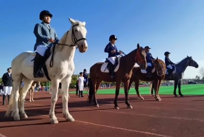 馬術.jpg