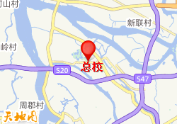 总校