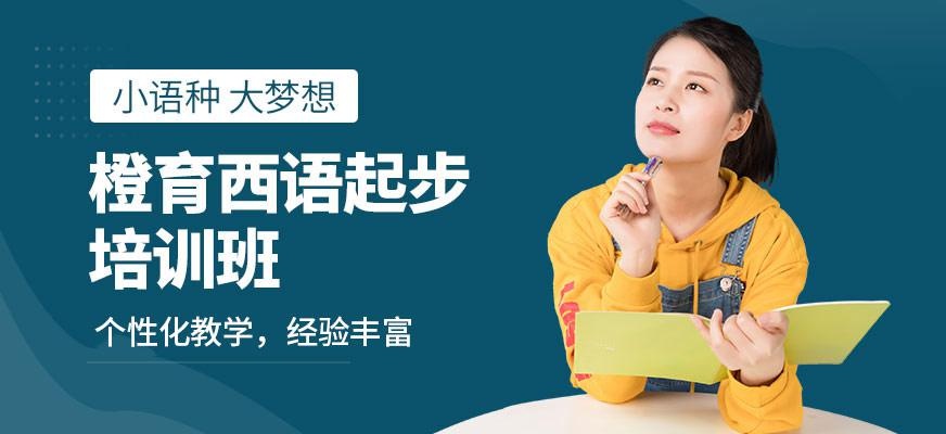 西班牙语起步课程A2