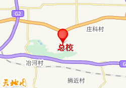 总校