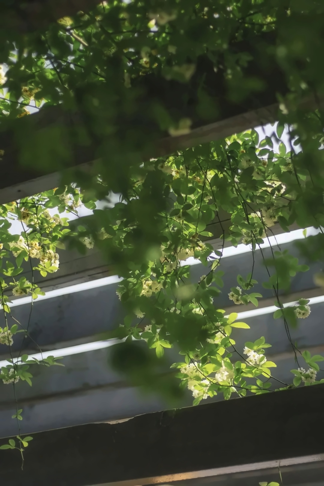 电子科技大学