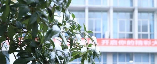 德阳科贸职业学院地址在哪里