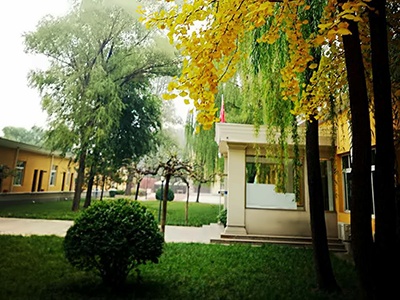 清华志清中学国际部校园环境1