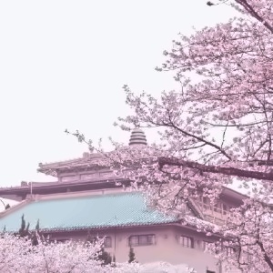 北京理工大学
