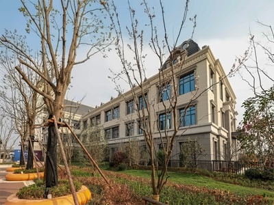 合肥新华公学