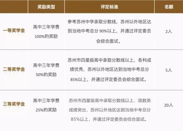 苏州海归子女学校奖学金类型.jpg
