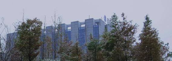 安徽国际商务职业学院