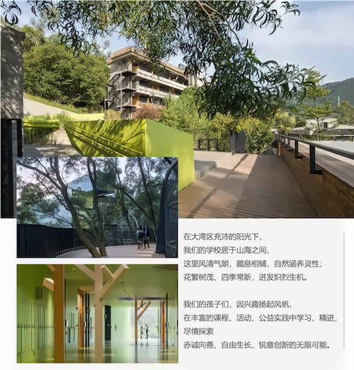 深圳市明德实验双语学校