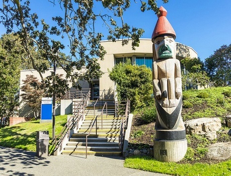 卡莫森学院
