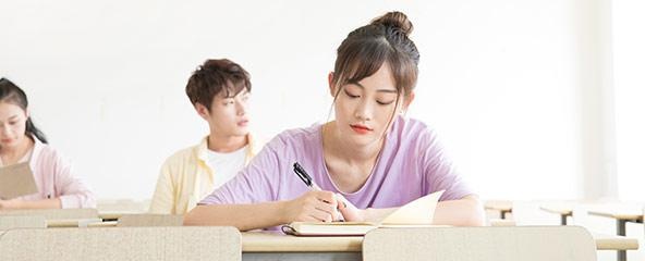 师资团队