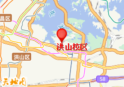 洪山校区