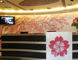 青岛樱花国际日语