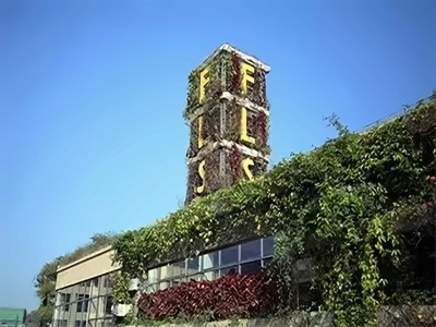 北京师范大学珠海分校附属外国语学校校园环境