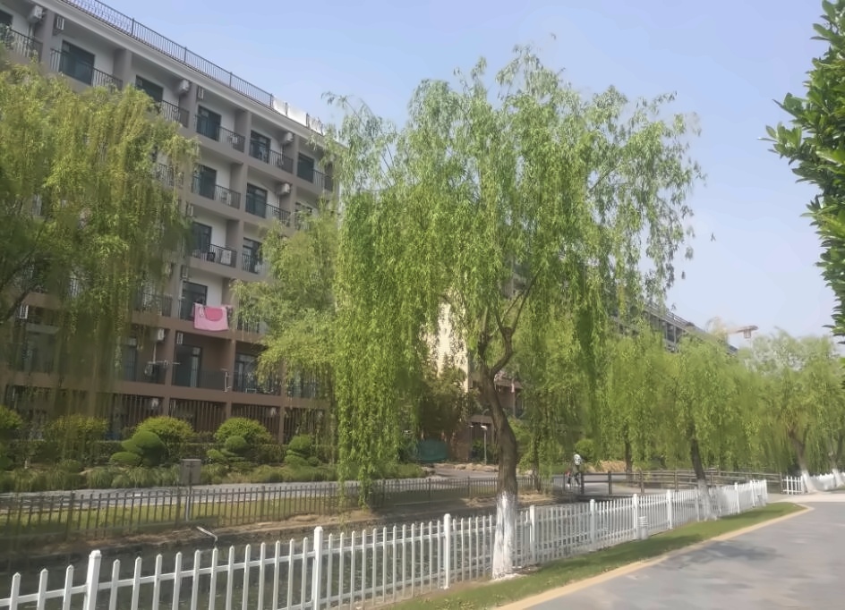 上海天华英澳美