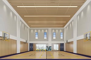 深圳富源英美学校室内篮球馆