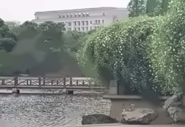 西班牙本硕留学项目招生简章