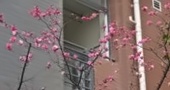 圆梦之地——学生成才，教师成功
