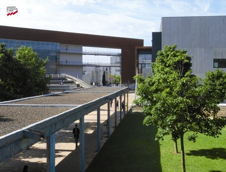 图卢兹大学