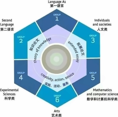 IB课程结构.jpg