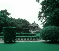 中山大学校园美景