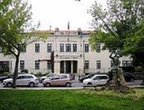 波图卡莱大学