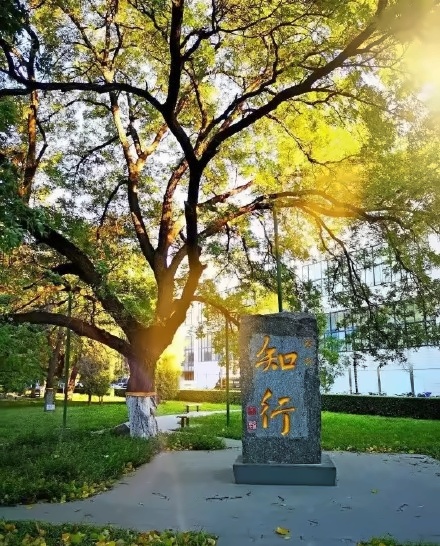 北京交通大学