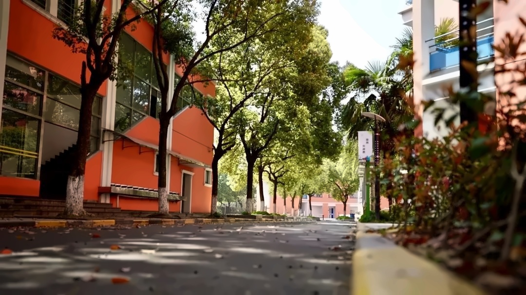 美国诺科学校上海分校.jpg